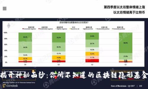 揭开神秘面纱：你所不知道的区块链隐形基金