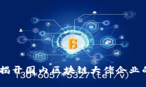 撬动未来：揭开国内区块链大佬企业的神秘面纱