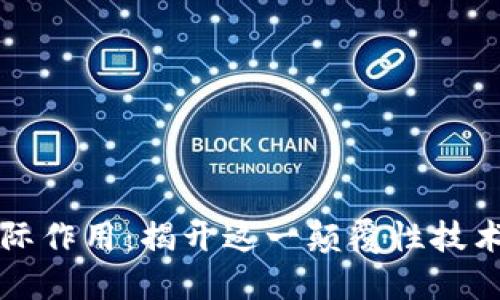 区块链的实际作用：揭开这一颠覆性技术的神秘面纱