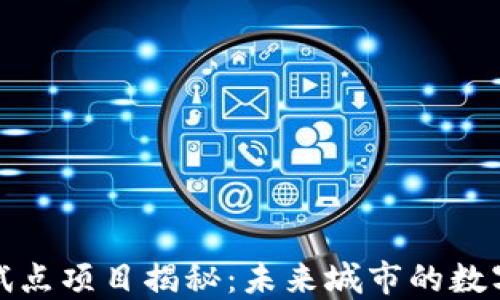 
上海区块链试点项目揭秘：未来城市的数字化转型之路