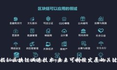 揭秘区块链减速技术：未