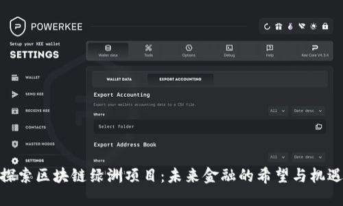 探索区块链绿洲项目：未来金融的希望与机遇