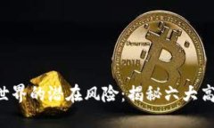 区块链世界的潜在风险：