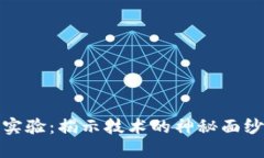 探索区块链实验：揭示技