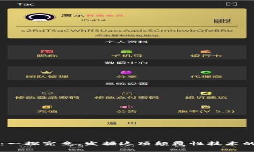 区块链的神秘面纱：一探究竟，发掘这项颠覆性技术的多样性与应用前景