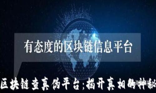 
探索区块链查真伪平台：揭开真相的神秘面纱