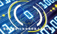 解密区块链：公链的独特