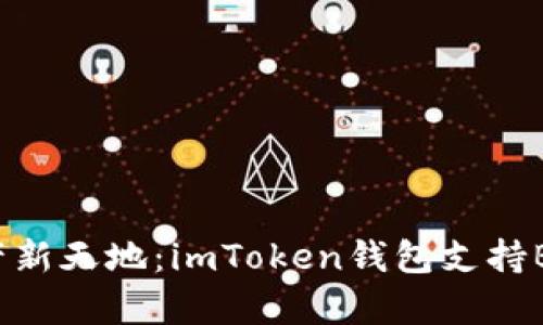 探索你的数字资产新天地：imToken钱包支持BSC链的惊喜体验！