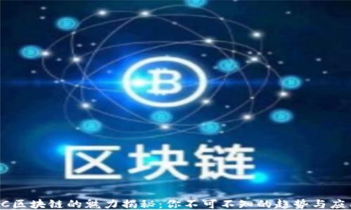 
OC区块链的魅力揭秘：你不可不知的趋势与应用