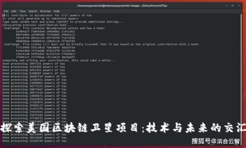 探索美国区块链卫星项目：技术与未来的交汇
