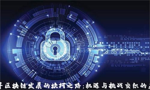 
探寻区块链发展的坎坷之路：机遇与挑战交织的未来