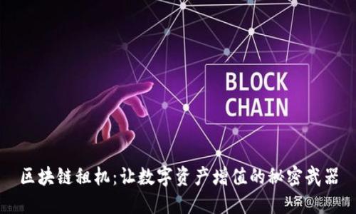 区块链租机：让数字资产增值的秘密武器