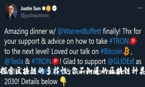 探索区块链的多样性：你不知道的区块链种类