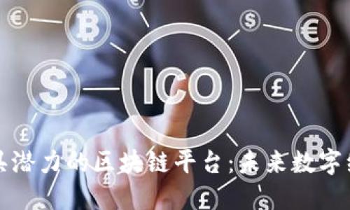 揭秘日本最具潜力的区块链平台：未来数字经济的引领者