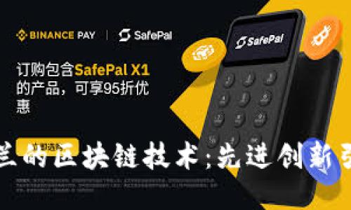 探索荷兰的区块链技术：先进创新引领未来