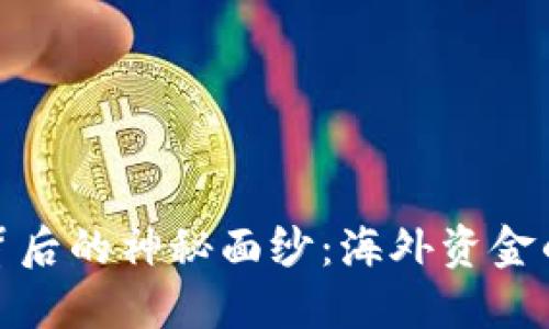 揭开区块链背后的神秘面纱：海外资金的来源与机会