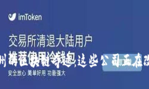 探秘贵州的区块链奇迹：这些公司正在改变未来