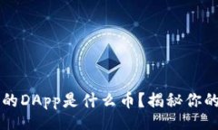 divIM钱包空投的DApp是什么