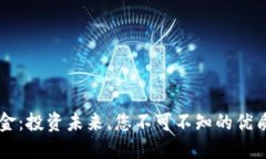 区块链基金：投资未来，