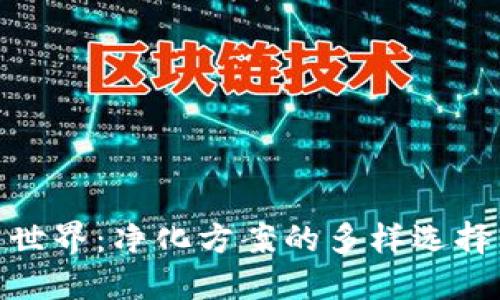 探索区块链世界：净化方案的多样选择与实践意义