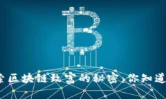 探索区块链致富的秘密：