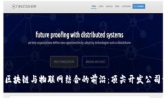 探索区块链与物联网结合