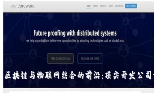 探索区块链与物联网结合的前沿：顶尖开发公司一览