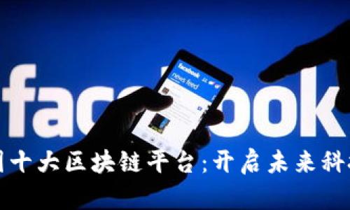 揭秘中国十大区块链平台：开启未来科技的大门