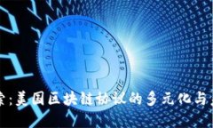 深入探索：美国区块链协