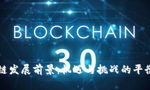 区块链发展前景：机遇与挑战的平衡之路