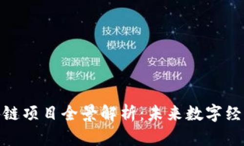 海南澄迈区块链项目全景解析：未来数字经济的独特机遇