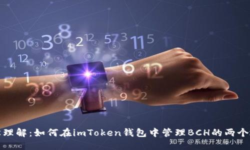 轻松理解：如何在imToken钱包中管理BCH的两个地址