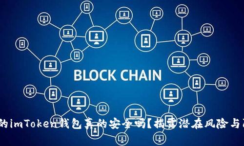 警惕！你的imToken钱包真的安全吗？揭露潜在风险与防范策略