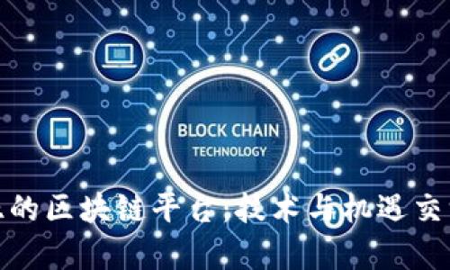 探索赞比亚的区块链平台：技术与机遇交汇的新时代