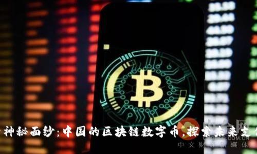 bianji揭开神秘面纱：中国的区块链数字币，探索未来支付的可能性