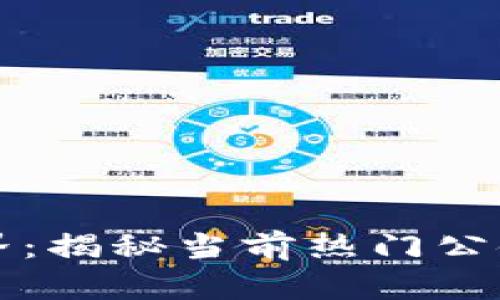 探索区块链世界：揭秘当前热门公链的魅力与潜力