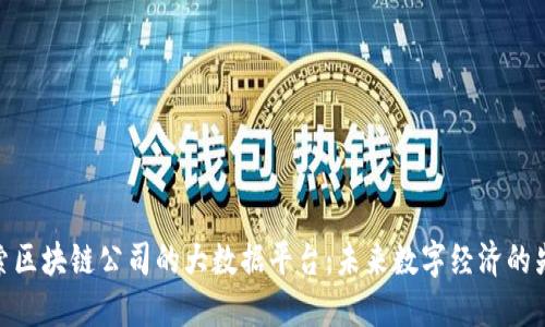探索区块链公司的大数据平台：未来数字经济的先锋