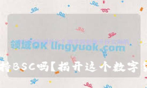 IM钱包支持BSC吗？揭开这个数字货币的秘密