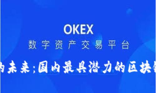 探索区块链的未来：国内最具潜力的区块链程序大盘点