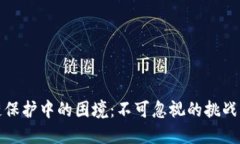 解密区块链保护中的困境