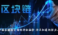 揭开中国区块链公司的神