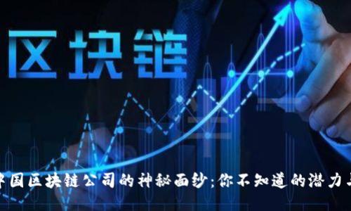 揭开中国区块链公司的神秘面纱：你不知道的潜力与机遇