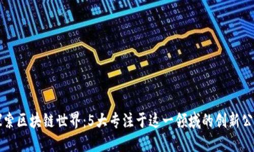 探索区块链世界：5大专注于这一领域的创新公司