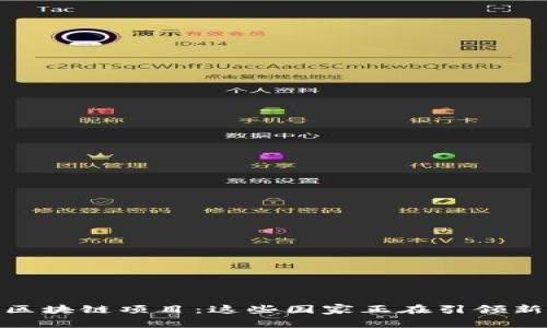 探索全球区块链项目：这些国家正在引领新技术革命