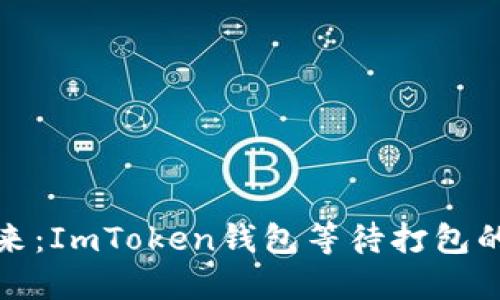 探索区块链的未来：ImToken钱包等待打包的秘密与解决方案