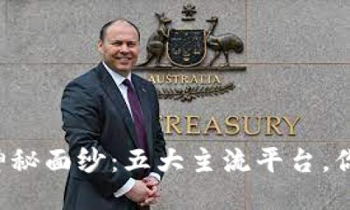 揭开区块链的神秘面纱：五大主流平台，你绝对不能错过！