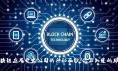 揭开区块链应用开发公司