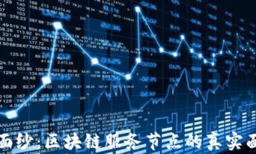 
揭开神秘面纱：区块链服务节点的真实面貌与功能