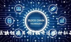 你听说过“跑路”的区块