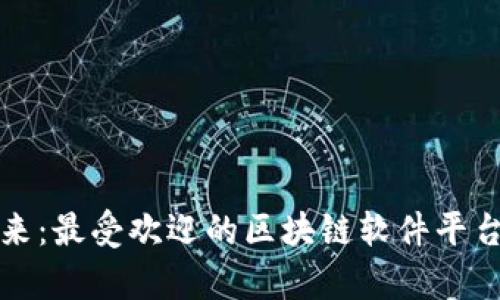 探索未来：最受欢迎的区块链软件平台全解析
